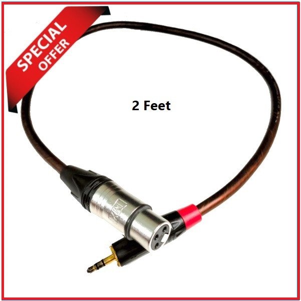 WeiShiSen XLR Female to 3.5mm Professional Microphone Audio Short Cable – 2 Feet
